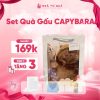 Set Quà Gấu CAPYBARA