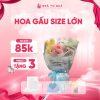 hoa gấu size to